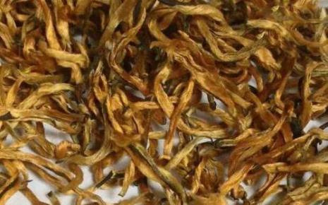 黄金芽和毛尖哪个好