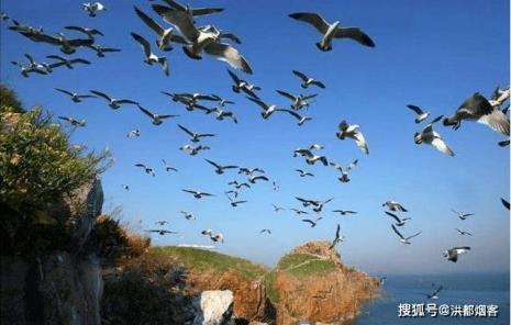 山东前十大岛排名