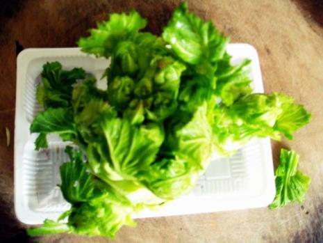 什么时候黄芽菜成熟