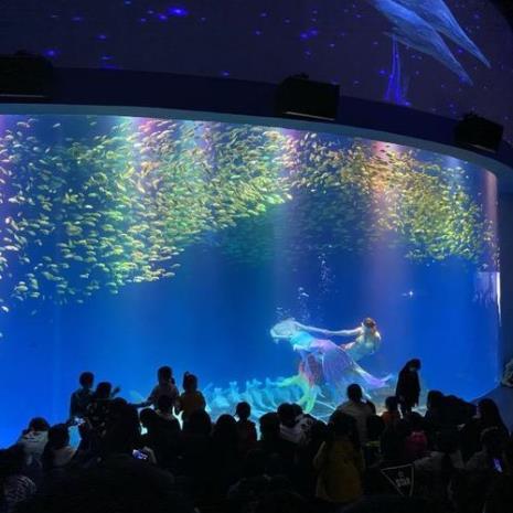 重庆海洋公园和海底世界哪个好