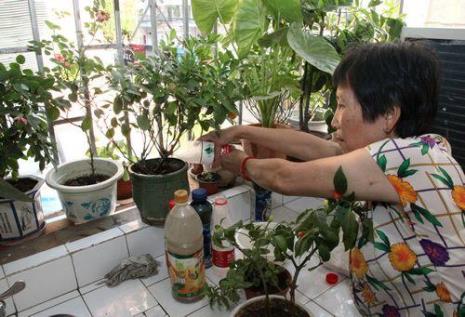 矿泉水浇花的好处和坏处
