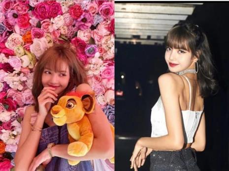 Lisa怎么读