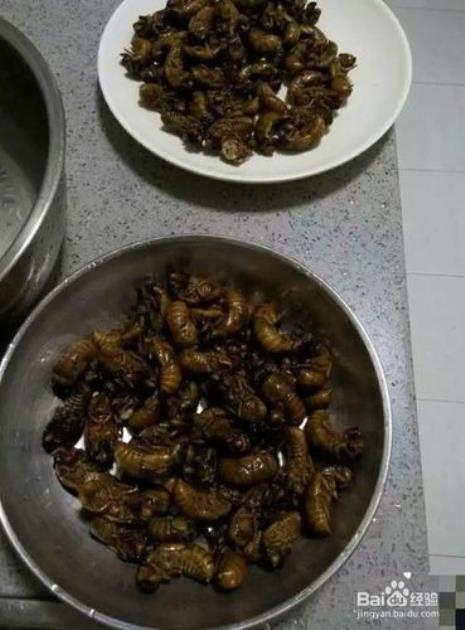 知了烧烤怎么做
