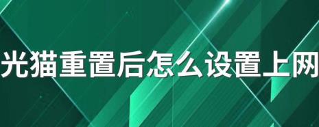 猫被重置了该如何设置