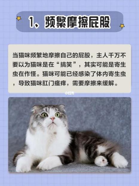 如何清除猫身上的寄生虫