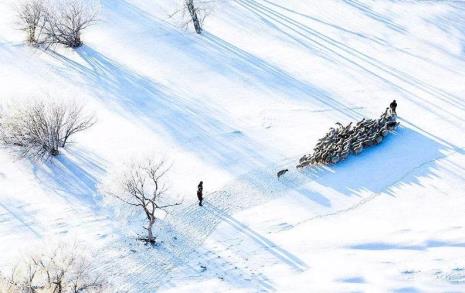 一场雪景单身情诗