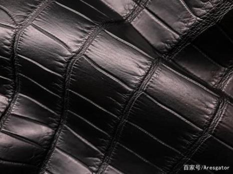 为什么进口鳄鱼皮那么贵