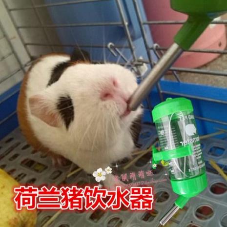 200毫升水够仓鼠喝多久