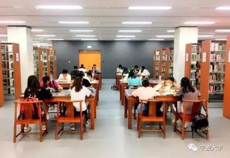 宁大图书馆对外开放吗