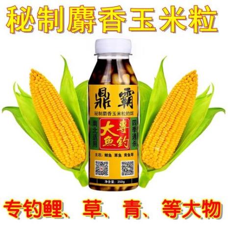 秋季青鱼喜欢吃什么饵料
