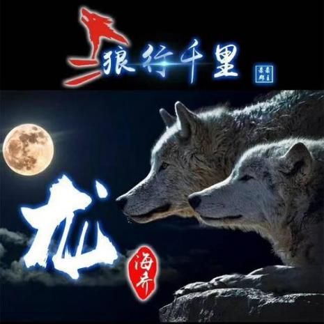 微信头像用狼合适吗
