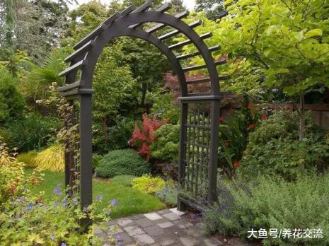 院子里一般种什么植物