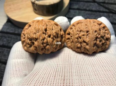 白狮子和闷白的区别