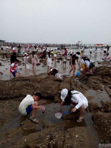 8月岚山赶海潮汐最佳时间
