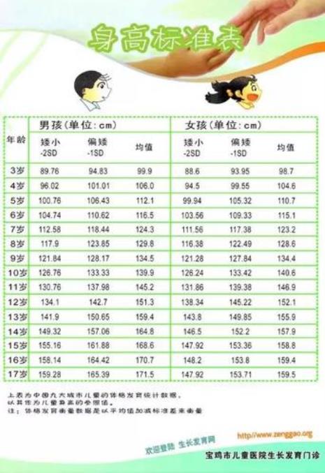 跳绳的长度与身高怎么定合适