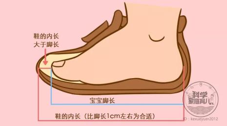 怎么测量脚的尺码