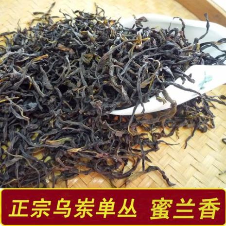 凤凰乌凍什么品种好喝