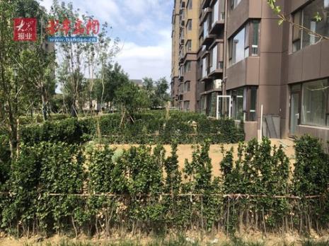 小区绿化率不够怎么投诉