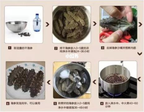 澳洲海参泡发的正确方法