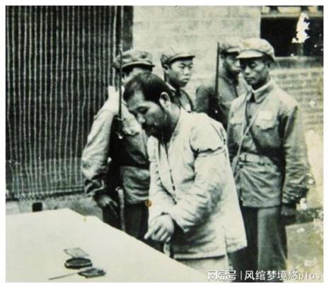 杀害彭加木的凶手伏法了吗