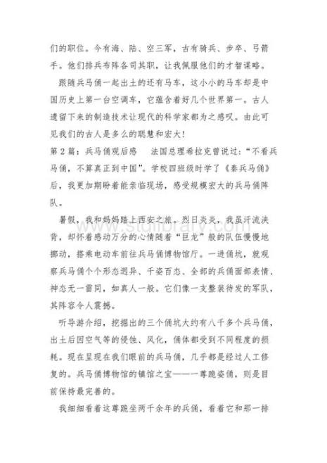 秦兵马俑视频观后感200字