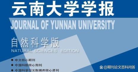 c刊什么意思