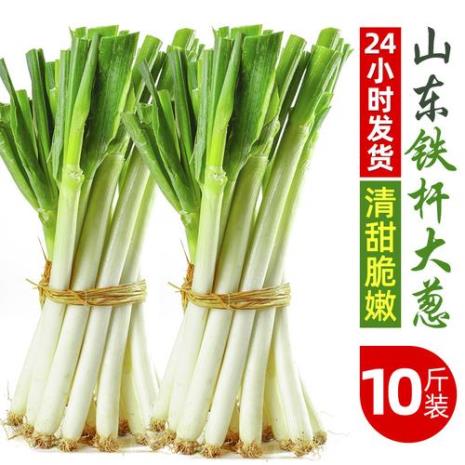东北一冬天囤多少斤大葱