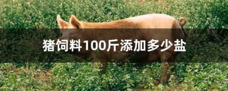 100斤猪肉配料表