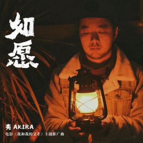 歌曲如愿表达的是怎样的感情