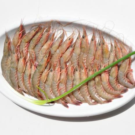 剑虾和麻虾的区别