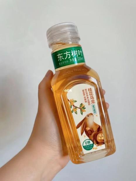 东方树叶啥时候上市的