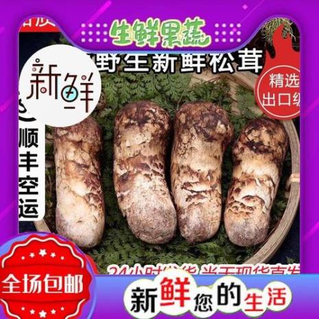云南野生菌怎么快递