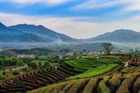 龙坞茶镇最好的景点