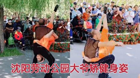娇健与矫健的意思