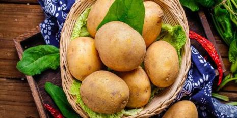 怎么储存才能避免土豆发芽