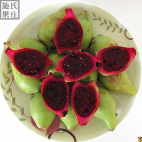 仙人掌果红皮好还是绿皮好