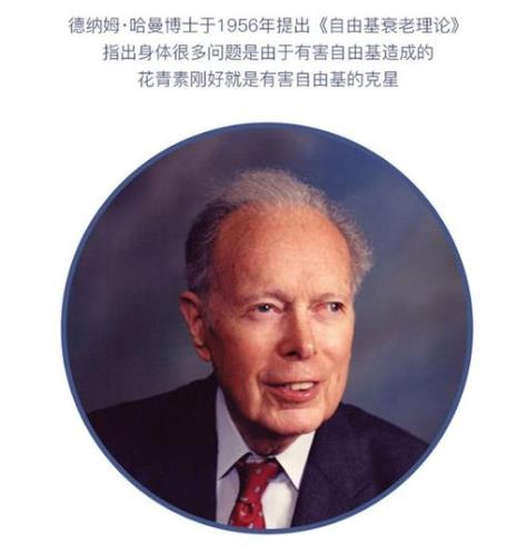 诺贝尔的死因
