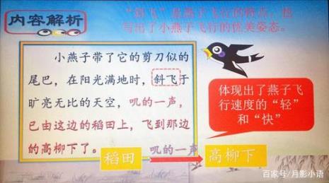 三年级课文燕子的重点段