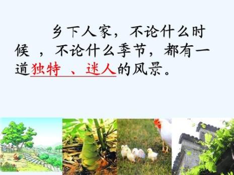 乡村人家主要内容