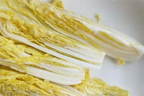 黄白菜学名