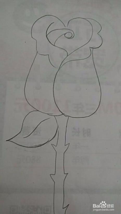两只手握着一支玫瑰花怎么画
