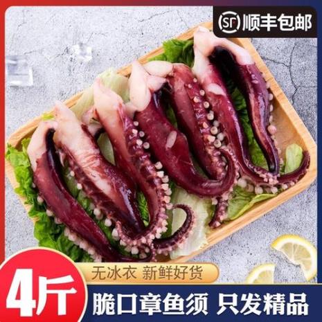 章鱼须和鱿鱼须哪个贵