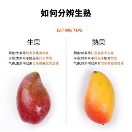 海南贵妃芒果如何保存