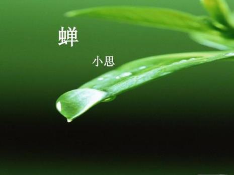 关于蝉的古诗还有四言绝句