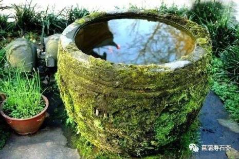 古法养鱼怎么做水循环