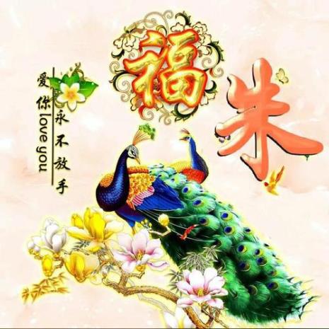 女人用孔雀开屏做头像什么意思