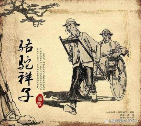 骆驼样子作者是谁