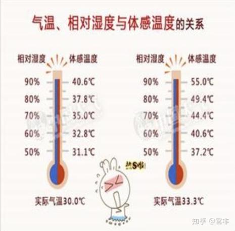 温度和体感温度的换算