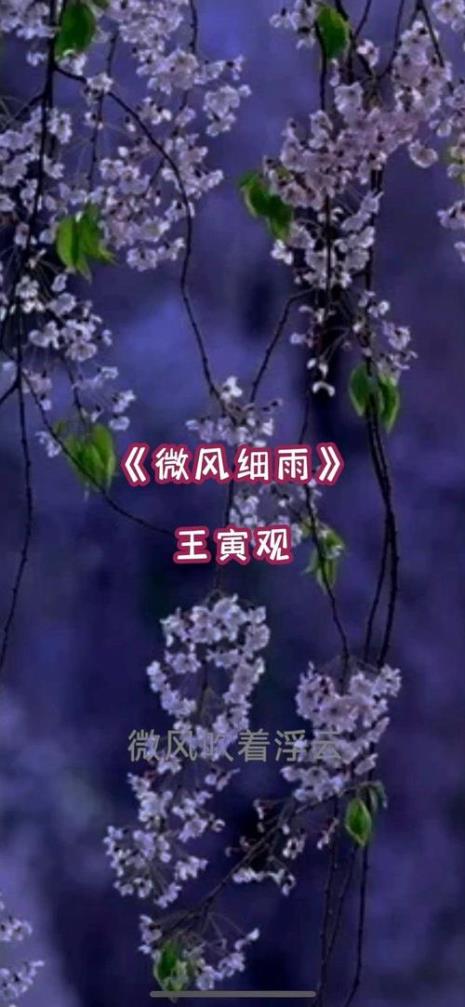歌曲微风细雨周深原唱