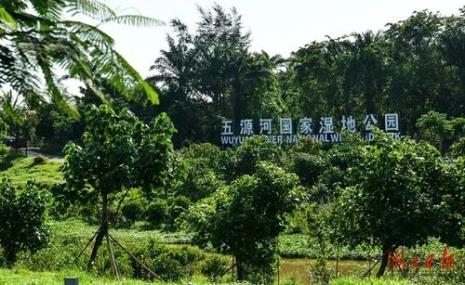 五源河湿地公园设计理念